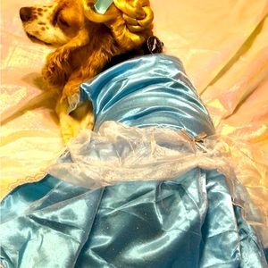 Rubie’s Pet Costume Disney Princess Cinderella Dog Dress, Choker, and Wig XL
